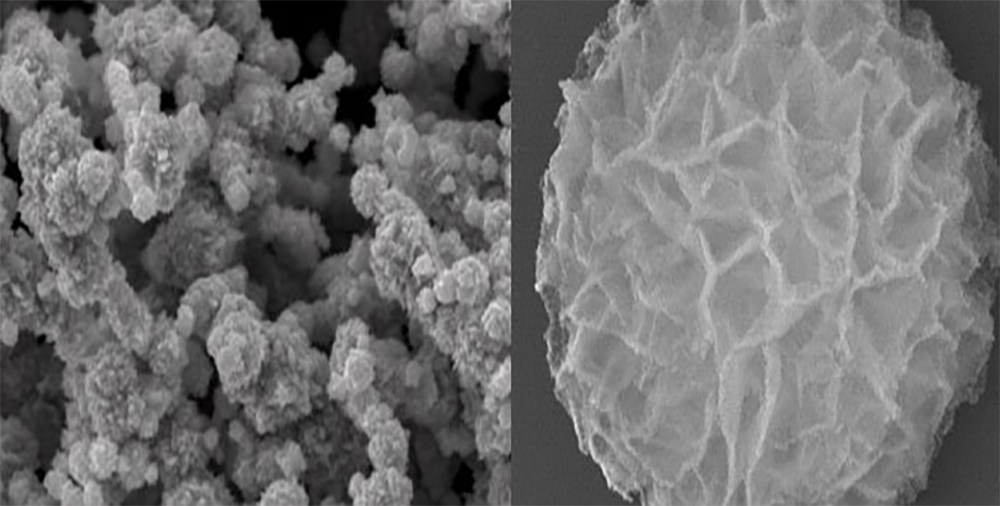 Nickel carbonyl powder SEM